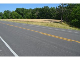 Property photo 12 - 108 +/- Acres Offered in 2 Tracts - Land Auction